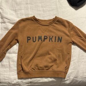 Pumpkin Kids Brown Sweatshirt